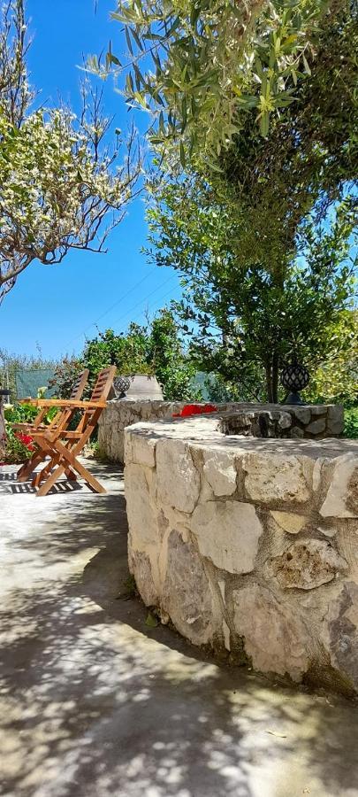 Apartament Margarita'S Stone House Plátanos Zewnętrze zdjęcie